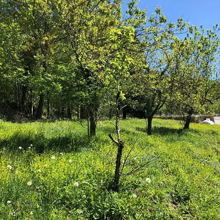 Apartament Terra Bosca Cambounes