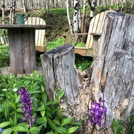 Terra Bosca Apartament