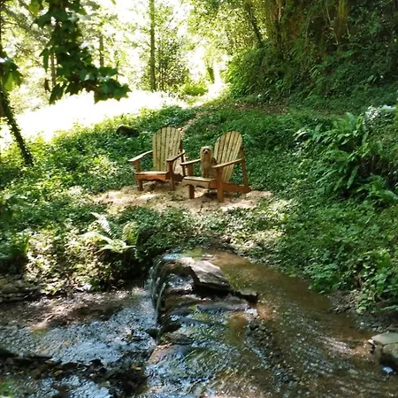 Apartament Terra Bosca *