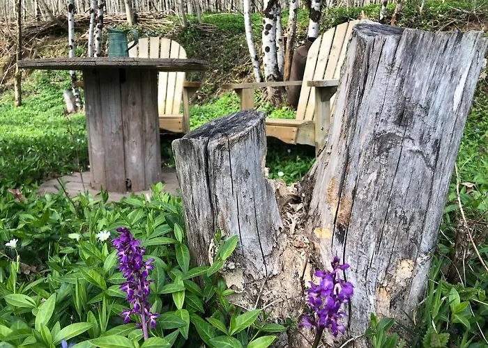 Terra Bosca 아파트