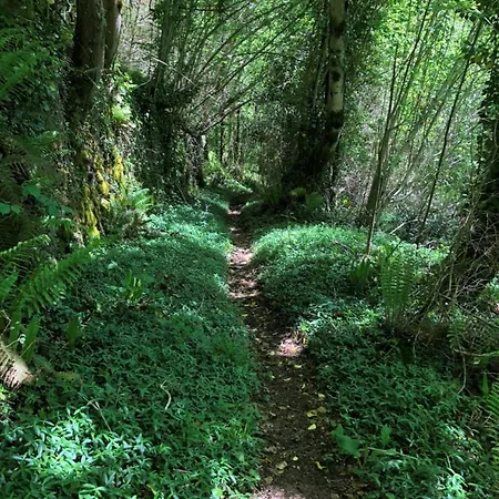 Apartmán Terra Bosca Cambounes