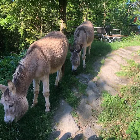 Terra Bosca Cambounes