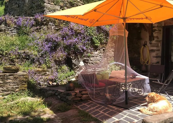 Terra Bosca דירה *