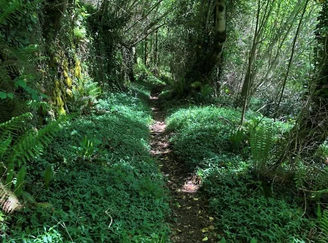 דירה Terra Bosca Cambounes