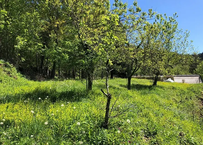 דירה Terra Bosca Cambounes